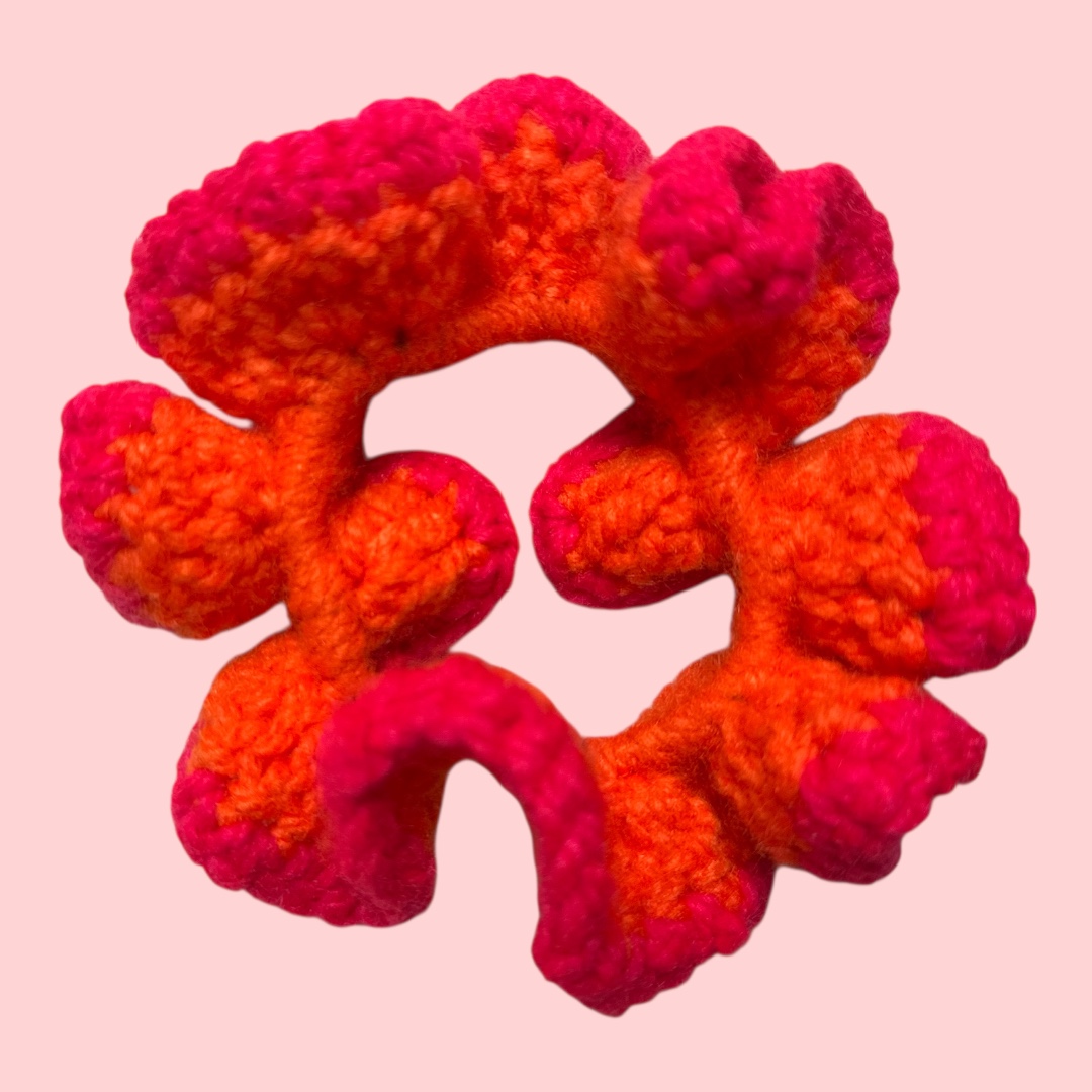 Chouchous ADA – Image 22