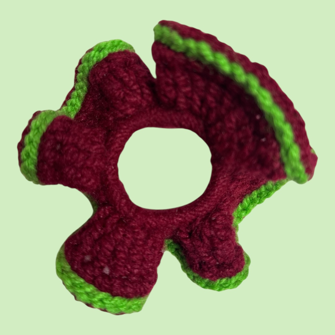 Chouchous ADA – Image 19